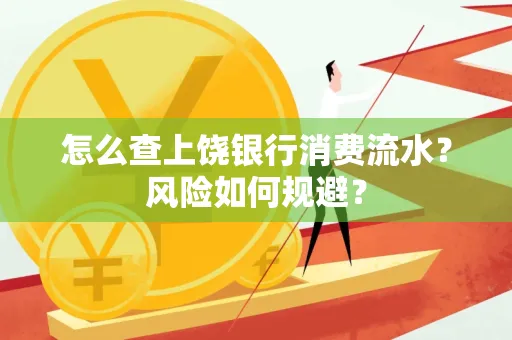 怎么查上饶银行消费流水?风险如何规避?