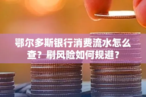 鄂尔多斯银行消费流水怎么查?刷风险如何规避?