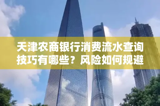 天津农商银行消费流水查询技巧有哪些?风险如何规避?