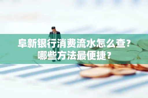 阜新银行消费流水怎么查?哪些方法最便捷?