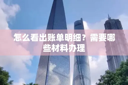怎么看出账单明细?需要哪些材料办理