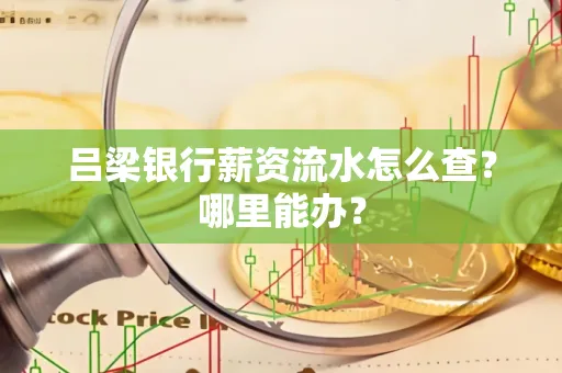 吕梁银行薪资流水怎么查?哪里能办?