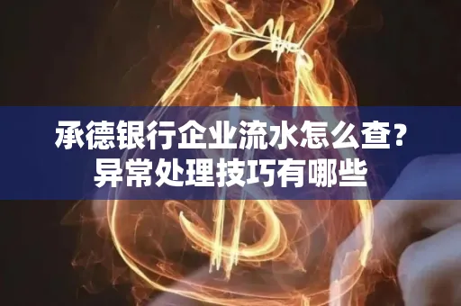 承德银行企业流水怎么查?异常处理技巧有哪些