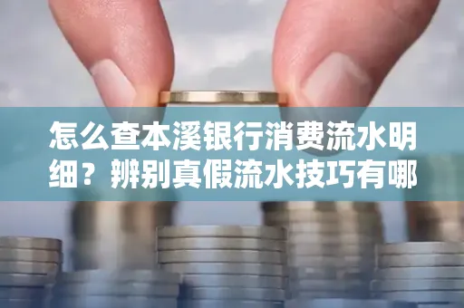 怎么查本溪银行消费流水明细?辨别真假流水技巧有哪些?