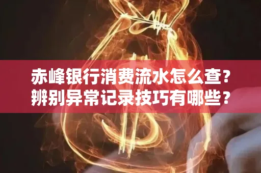 赤峰银行消费流水怎么查?辨别异常记录技巧有哪些?