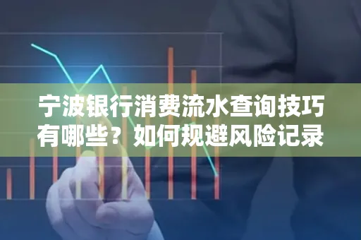 宁波银行消费流水查询技巧有哪些?如何规避风险记录?